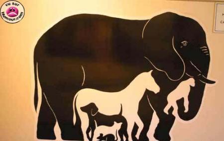Combien y a t-il d'animaux dans cette image ?