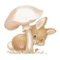 Il est mimi ce p'tit lapin !!!!
