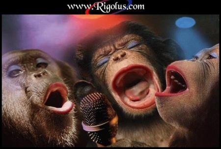 Les nouvelles stars de la chansons ! lol