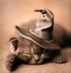 Tout ce que j'aime !